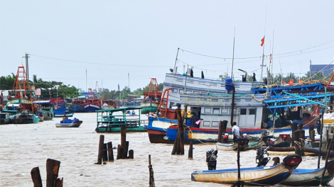 Cà Mau: Lắp thiết bị giám sát tàu cá không chỉ để xử lý vi phạm vùng biển nước ngoài  (25/2/2023)