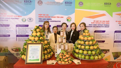 Hướng đi hiệu quả cho những vườn cam ở Hàm Yên, Tuyên Quang (23/2/2023)