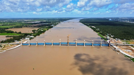 Đồng bằng sông Cửu Long - nhiều giái pháp ứng phó mặn xâm nhập (09/02/2023)