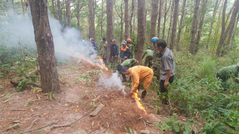 Gia Lai: Tăng cường biện pháp phòng chống cháy rừng (24/2/2023)