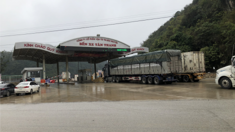Lạng Sơn - Xuất nhập khẩu nông sản qua cửa khẩu nhộn nhịp trở lại (17/02/2023)