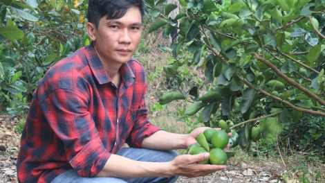 Đảng viên trẻ hái quả ngọt trên vùng đất hoang hoá (02/1/2023)
