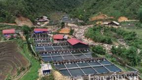 Lào Cai: hiệu quả từ nghề nuôi cá nước lạnh (25+26/02/2023)