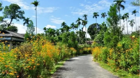 Cùng đến thăm ngôi làng sạch nhất châu Á- Mawlynnong (18/2/2023)