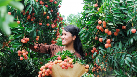 “Dấu ấn Nghị quyết của Đảng trong định hướng phát triển nông nghiệp, nông dân và nông thôn” (03/02/2023)