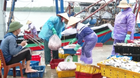 Nghệ An: Phấn khởi đón lộc biển đầu năm (20/2/2023)