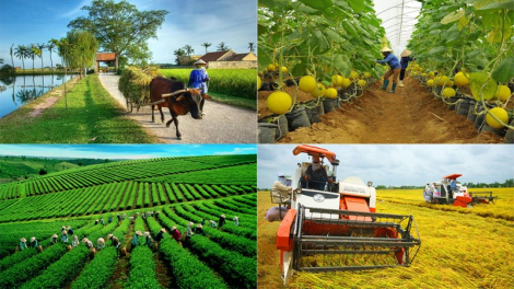 Hoàn thiện cơ chế phát triển kinh tế tập thể, hợp tác xã khi sửa đổi luật Hợp tác xã (03/03)