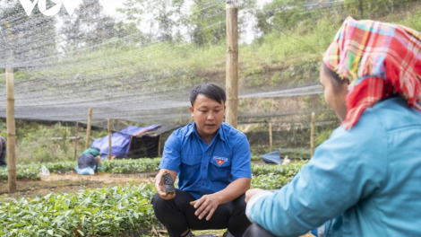 Thanh niên người Mông đầy sáng tạo ôm khát vọng phủ xanh quê hương (28/3/2023)