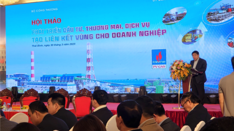 Để phát triển Vùng, cần có “Hội đồng Vùng”, “cơ chế điều phối Vùng” và có “Quỹ riêng của Vùng”, xây dựng “hạ tầng chung của Vùng” (30/03/2023)
