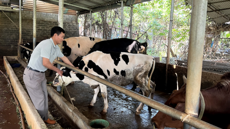 Khởi nghiệp và làm giàu trên ruộng đất quê tại Hải Phòng (31/3/2023)