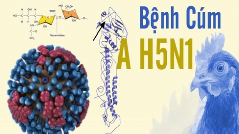 THỜI SỰ 21H30 ĐÊM 2/3/2023: Thành phố Hồ Chí Minh chưa ghi nhận ca bệnh liên quan đến cúm A (H5N1)