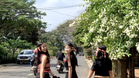 Lễ hội cà phê - Nơi dệt các sắc màu văn hoá (8/3/2023)