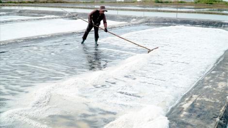 Diêm dân Bà Rịa - Vũng Tàu sống được nhờ giá muối (20/03/2023)