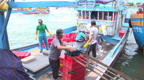 Quảng Ngãi mở đợt cao điểm 180 ngày chống khai thác hải sản bất hợp pháp (07/3/2023)