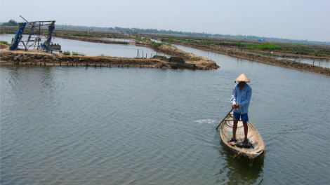 Thừa Thiên Huế: Phát triển hệ đầm phá Tam Giang - Cầu Hai trở thành “Công viên đầm phá Quốc gia” (28/3/2023)