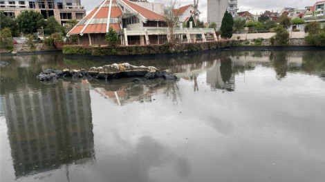 Hồ điều hòa giữa lòng TP Lạng Sơn ô nhiễm nghiêm trọng (29/3/2023)