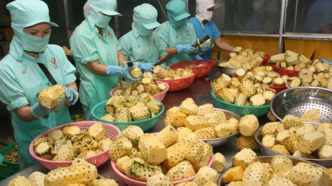 Cơ hội xuất khẩu nông sản, thực phẩm sạch của Việt Nam là rất lớn (03/3/2023)