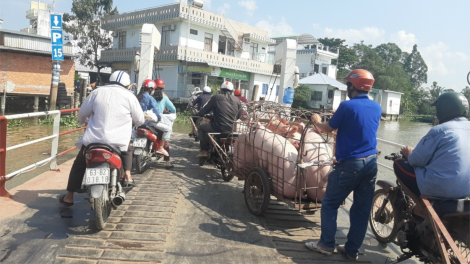 Tiền Giang: Thị heo rớt giá kéo dài, người chăn nuôi thua lỗ (17/3/2023)