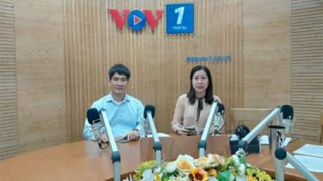 Chuẩn hoá thông tin thuê bao di động, đòi hỏi từ thực tiễn và trách nhiệm của các bên liên quan (17/3/2023)