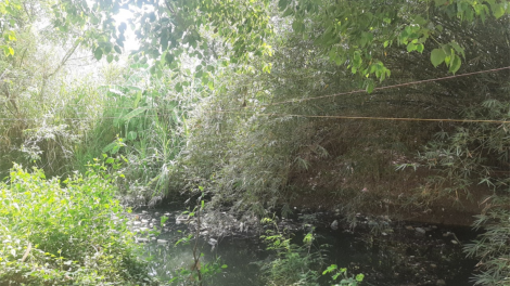 Tiền Giang: Người dân nhiều năm “kêu cứu” do bị ảnh hưởng từ những dòng kênh đen (28/3/2023)