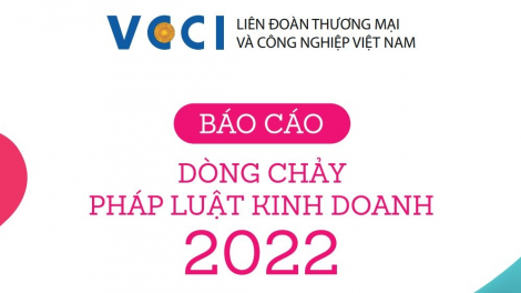 Dòng chảy Pháp luật kinh doanh 2022: Những "điểm nghẽn" cần khơi thông (07/04/2023)