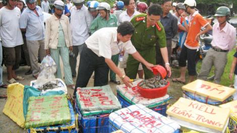 Tăng cường kiểm tra, xử lý vi phạm an toàn thực phẩm (18/4/2023)
