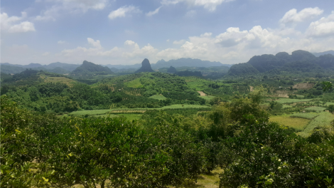 Lào Cai: Đẩy mạnh phát triển du lịch nông nghiệp (12/4/2023)