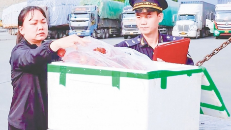 Thông quan thuận lợi, xuất nhập khẩu qua biên giới phía Bắc tăng mạnh (30/4/2023)