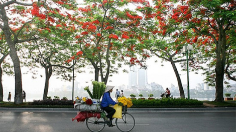 Hà Nội- năng lượng mới từ những vòng xoay nan hoa (16/4/2023)
