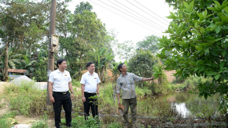 Thoát nghèo từ vốn vay phát triển sản xuất. (15/4/2023)