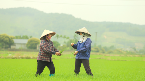 "Tôi là người nông dân hạnh phúc" (26/4/2023)