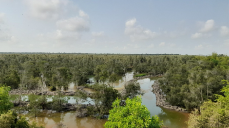 Long An tăng cường phòng cháy ở Khu bảo tồn đất ngập nước Láng Sen - 
Ramsar thế giới (07/3/2023)