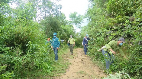 Sơn La chủ động phòng cháy rừng (18/04/2023)