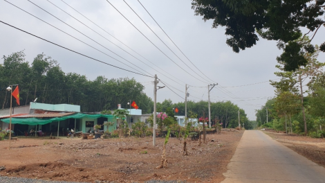 Đổi thay bên những cánh rừng cao su vùng biên(21/4/2023)