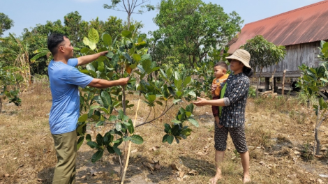 Chuyện về đảng viên Y Al Trei - trưởng buôn Bhôk (5/4/2023)