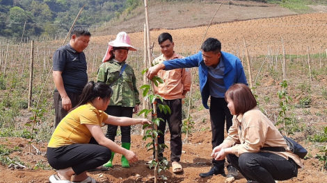 Gỡ nút thắt để nông nghiệp Sơn La bứt phá (19/4/2023)