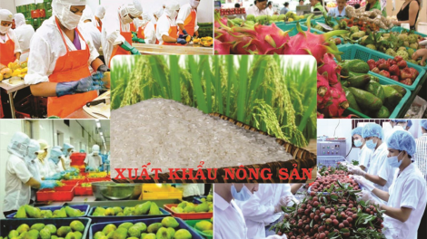 Mở rộng thị trường, thúc đẩy xuất khẩu nông sản và ổn định sản xuất (04/04/2023)