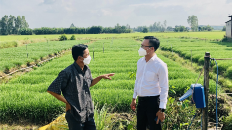 Bài 2 Loạt bài "Sửa đổi Luật HTX: Mở cánh cửa cho HTX vươn xa" - "Hoàn thiện thể chế, tạo chuyển biến về chất và lượng cho hợp tác xã" (27/04/2023)