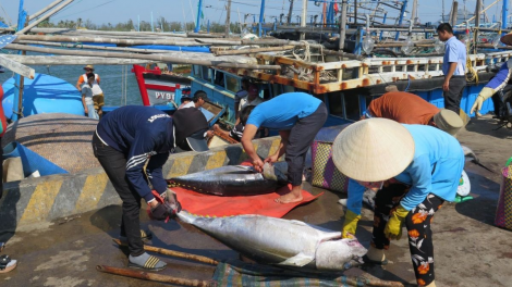 THỜI SỰ 12H TRƯA 21/4/2023: Các ngành chức năng và địa phương đang chạy nước rút với nhiều giải pháp quyết liệt nhằm gỡ thẻ vàng ngành thủy sản