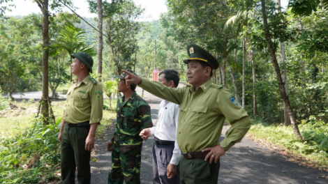 Đà Nẵng: Chủ động phòng chống cháy rừng mùa nắng nóng (23/4/2023)
