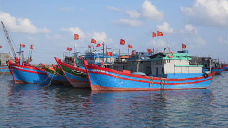 Quảng Ngãi: “Đi từng ngõ, gõ từng tàu”, tập trung gỡ thẻ vàng EC (13/4/2023)