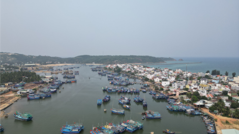Bộ Nông nghiệp và Phát triển Nông thôn kiểm tra công tác chống khai thác IUU tại Bình Định (20/4/2023)