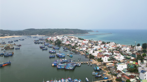 Cửa biển và luồng lạch vào cảng cá Tam Quan bị bồi lấp nghiêm trọng (26/4/2023)