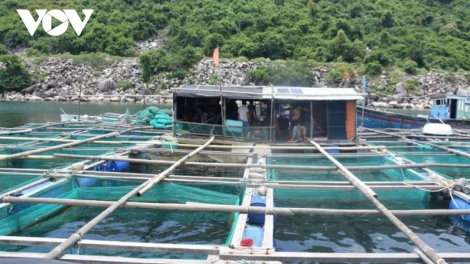 Thủy sản, cơ cấu lại sản phẩm bù đắp sụt giảm kim ngạch xuất khẩu từ tôm và cá tra (16/4/2023)