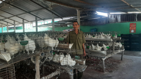 Tiền Giang: Người cựu chiến binh “chiến thắng” đói nghèo, lạc hậu (26/3/2023)
