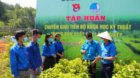 Những khó khăn trong chuyển đổi số ở tỉnh Hòa Bình (24/5/2023)