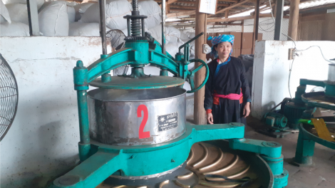 Phát huy sức trẻ trong công tác chuyển đổi số (8/5/2023)
