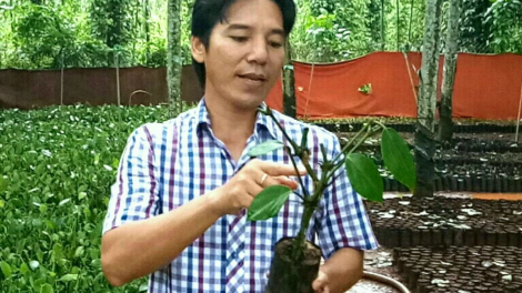 Gặp gỡ ông Lâm Ngọc Nhâm, cha đẻ của giống tiêu Bầu Mây (31/5/2023)