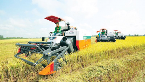 Những thay đổi lớn từ ứng dụng các giải pháp khoa học kĩ thuật vào canh tác bền vững ở vùng trồng lúa tỉnh Kiên Giang (12/5/2023)