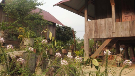 Kon Tum: Ra mắt làng du lịch cộng đồng Vi Rơ Ngheo của người Xơ đăng (2/5/2023)